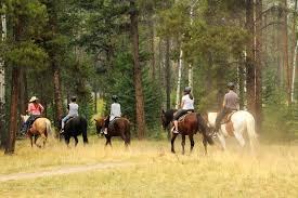 Horseback riding